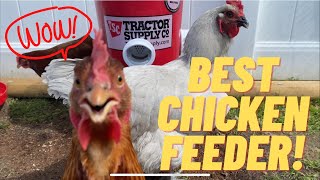 🤯Wasteproof Rainproof Mouseproof Chicken Feeder chickenfeeder chicken animal homestead [upl. by Bianchi773]