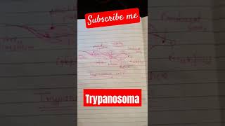 Trypanosoma trypanosomabrucei🫘 ternding videoviralvideo and short📝 नोट by Rajendra Yadav [upl. by Mowbray]