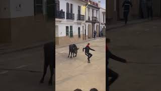 IMPRESIONANTE RECORTE ESTIVELLA 2024 TOROIMPACTO toros recuerdos youtubeshorts fypシ゚viral [upl. by Philip9]