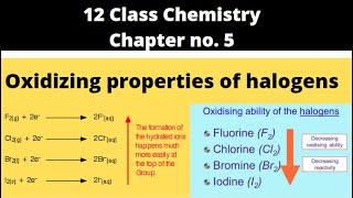 oxidizing properties of halogens 12 class chemistry [upl. by Sy]