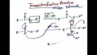 Transesterification reaction MrPappu Bhowmick [upl. by Ahmar]