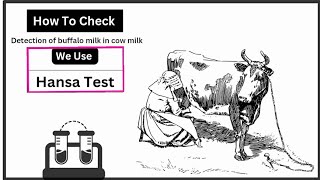 How to check presence of Buffalo milk in Cow milk  Hansa Test Detection buffalo milk in cow milk [upl. by Joann528]