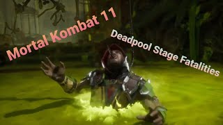 Mortal Kombat 11 All Deadpool Stage Fatalities On Characters [upl. by Caylor]