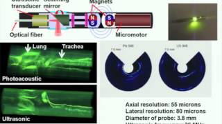 Photoacoustic tomography ultrasonically breaking through the optical diffusion limit [upl. by Springer]