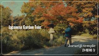 VLOG A 900yearold Japanese garden I went to see the garden at Joruriji Temple [upl. by Marriott]