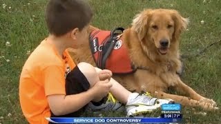 School And Family Argue Over Service Dog [upl. by Rorie]