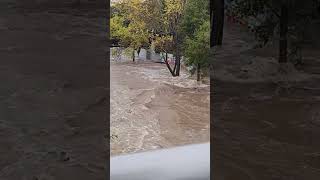 Creek Flooding Sonoma County shorts flooding atmosphericriver flashflood [upl. by Novonod]