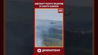 Watch Aircraft Helps Douse Raging Wildfire In South Dakota  India Today [upl. by Acassej313]