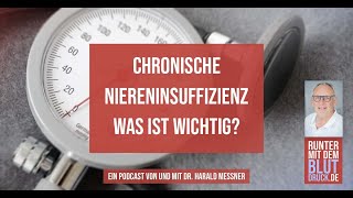 Chronische Niereninsuffizienz was ist wichtig [upl. by Haisoj]