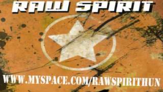 Raw Spirit  Save tonight  EagleEye Cherry rockmetal cover [upl. by Notlad]