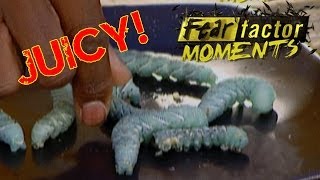 Fear Factor Moments  Tomato Horn Worms [upl. by Hgielhsa895]