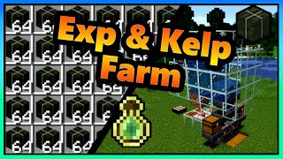 Minecraft Erfahrung amp Kelp Farm  Lvl 1  30 in 1min  120  121 [upl. by Nitsrik68]