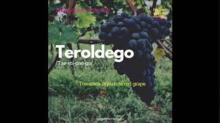 Teroldego [upl. by Riabuz]