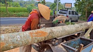 Gergaji kayu mahoni bahan bangunan rumah  Gergaji mesin serkel rakitan [upl. by Clements]