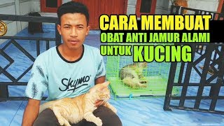 Cara Membuat Obat Anti Jamur Kucing Dari Bahan Alami [upl. by Thema]