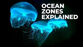 Ocean Zones — EXPLAINED [upl. by Macleod]