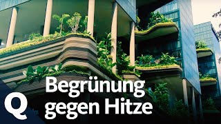 Wie der Klimawandel Städte aufheizt und wie Urban Gardening das ändern kann  Quarks [upl. by Dranrev]