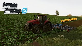 PLANTING OILSEED RADISH amp HOW TO HARVEST IT  FARMING SIMULATOR 23 NEUBRUNN [upl. by Ecinom374]