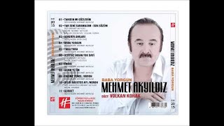 Mehmet Akyıldız  Fadime Temel  Horon Official Audio [upl. by Jat]