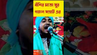 বাঁশির মতো সুর গজল সম্রাট এর  manik chand qadri  shorts vairalshort urdu ghazal gojol [upl. by Yatnuahs]