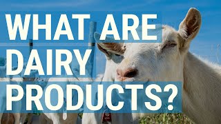 What are Dairy Products We Break Down What Counts  and What Doesnt [upl. by Akit671]