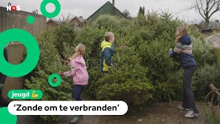 Wat gebeurt er met de 25 miljoen Nederlandse kerstbomen [upl. by Atiuqad]