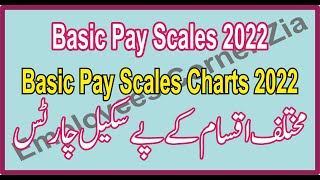 Basic Pay Scales Charts 2022  BPS2022  Different Charts in PDF amp MS Excel Employees Corner Zia [upl. by Vivl665]