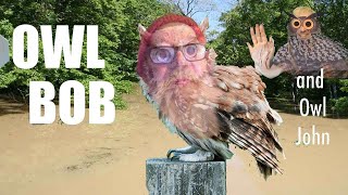 A miracle Owl Bob is a hero He is saving lives after Hurricane Helene God Jesus [upl. by Cristin]