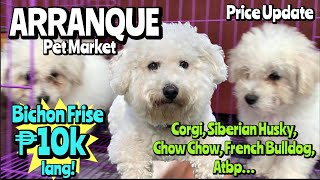 Arranque Pet Market  January 12 2023  Recto Manila [upl. by Victoria996]