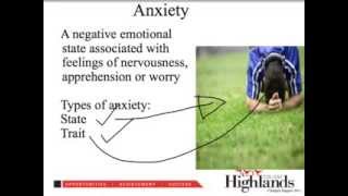 What is arousal anxiety and stress [upl. by Jestude]