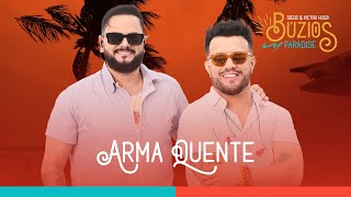 Diego e Victor Hugo  Arma Quente Ao Vivo [upl. by Hauhsoj754]