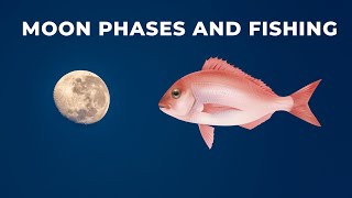 How the Moon and Tides affect bite times for fish like snapper trevally and kingfish [upl. by Eachelle576]