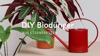 BioDünger selbst herstellen🌱 3 DIY Tipps ♻️ Kaffeesatz Bananenschale amp Joghurt als Dünger [upl. by Carolyn729]