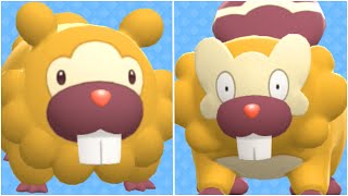 FULL BIDOOF EVOLUTION TEAM Shiny Bidoof Shiny Bibarel  How To Use Bibarel amp Bidoof [upl. by Horwath]