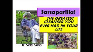 Why Sarsaparilla is the Sparkplug of the Body Dr Sebi [upl. by Pronty]