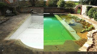 Converting a chlorine pool to Organic Pool in 1 minute [upl. by Volny694]