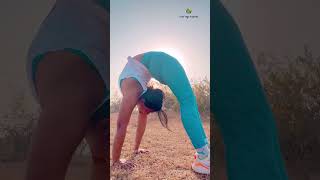 Standing Chakrasana yogaurmi shortvideo yogapose shorts ytshort urmiyogaacademy [upl. by Isied]