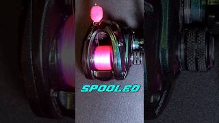 No Backing No Worries Spooling a Baitcaster bfsfishing [upl. by Volny661]