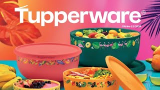 Vitrine 13 Tupperware Completo aqui [upl. by Atteloiv220]