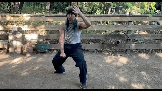 Kuo Lien Yings Original Taiji Form Lesson 22 [upl. by Ainessej135]