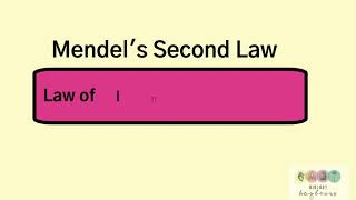 Mendels 2nd LawLaw of Independent AssortmentLeaving Cert Biology [upl. by Eaver]