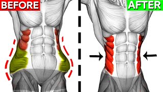 Dont Miss These 10 Perfect Oblique Exercises 🎯 [upl. by Arej]