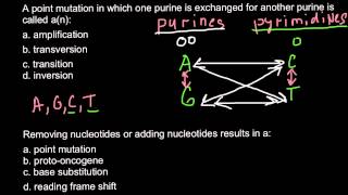 Transition and Transversion  what is the difference [upl. by Milman204]