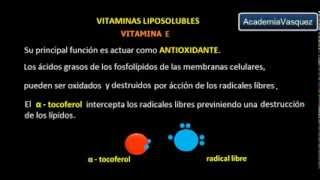 Vitaminas liposolubles Vitamina E [upl. by Riabuz]