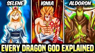 EVERY Dragon God In Fairy Tail 100 Years Quest EXPLAINED [upl. by Palumbo]