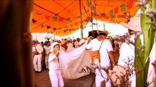 Danza de Arrieros de Capulhuac de Mirafuentes Documental [upl. by Enitsed597]