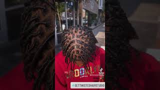 Dreadlocks Retwist [upl. by Roselba]