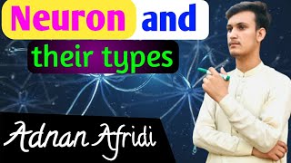 Neurons The Brains Building Blocks  explained by Adnan Afridi in Pashto [upl. by Ulrich263]