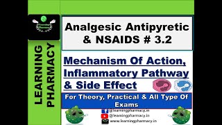 32  Mechanism Of Action amp Side Effects of Analgesic Antipyretic amp NSAIDS DCMA Tutorial in Hindi [upl. by Trebleda293]