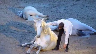 JeanFrançois Pignon London International Horse Show 2015 [upl. by Valeda]